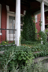 The front porch of a red and white house with black railings that has been abandoned and is completely overrun by vines and plants.