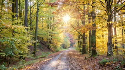 Naklejka premium Serene forest path covered in autumn leaves, with sunlight filtering through trees , forest, path, autumn, leaves, sunlight