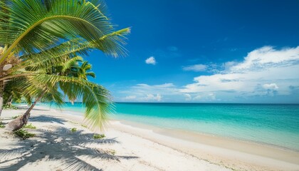 Beautiful tropical beach with palm trees, sunset beach seascape, design template for travel banner.