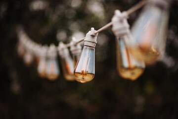 antique edison light bulbs on park background. Vintage style