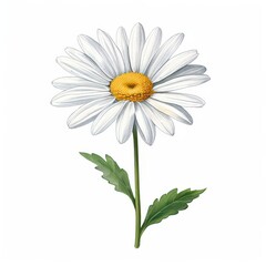 the AI Image Generator, daisy vintage illustration flower