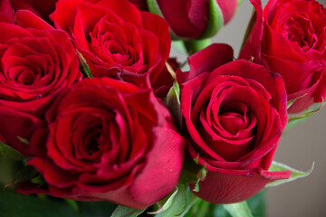 赤い薔薇