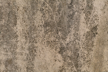 The old surface of time