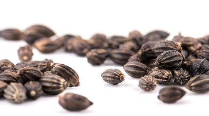 Obraz premium Front View Close-Up of Castor Oil Seeds on White Background