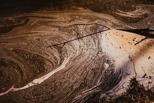 Swirling patterns of pollen in an eddy in a stream in Durham, North Carolina