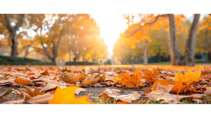Crunchy leaves in a park symbolizing seasonal bounty, Crunchy, Park, Bounty