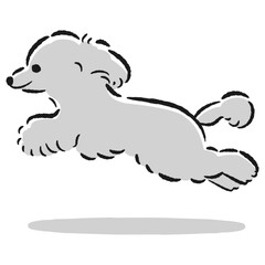 走るトイプードルのかわいい手描きイラスト