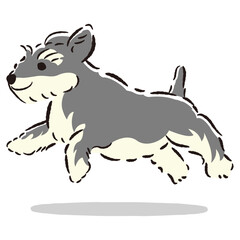走るミニチュアシュナウザーのかわいい手描きイラスト