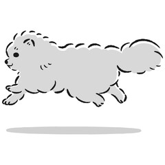 走るポメラニアンのかわいい手描きイラスト