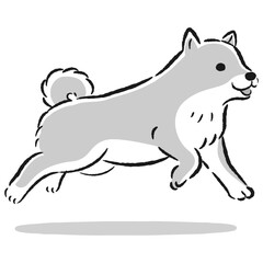 走る柴犬のかわいい手描きイラスト