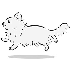 走るチワワのかわいい手描きイラスト