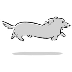走るダックスフンドのかわいい手描きイラスト