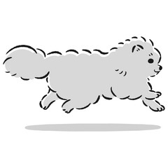 走るポメラニアンのかわいい手描きイラスト