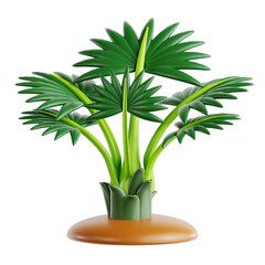 Majestic Bismarck Palm Tree