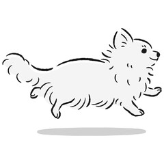 走るチワワのかわいい手描きイラスト