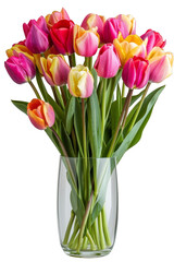 Obraz premium Colorful Tulips in Glass Vase