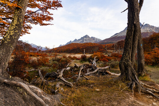 Outono no Ushuaia, na trilha da Laguna Esmeralda