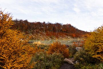Fototapeta premium Outono no Ushuaia, na trilha da Laguna Esmeralda