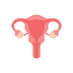 Flat uterus and ovaries woman reproduction system for human organ vector illustration