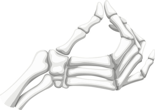 Bony skeleton hand contorts into a mischievous pinch gesture. Vector skeletal fingers poised with eerie precision, embodying a hauntingly playful expression in the spirit of Halloween