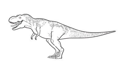 Vector black line drawing of a dinosaur T-Rex in a standing position.