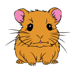baby hamster vector child hamster illustration