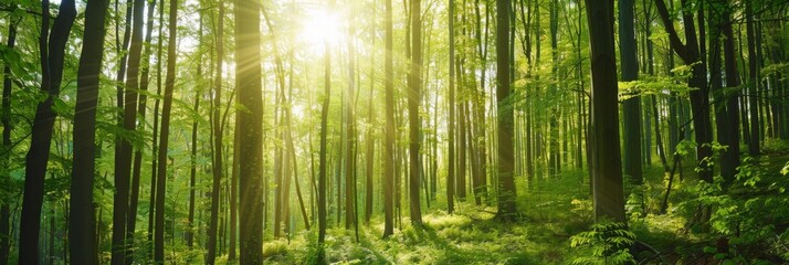 Lush Green Forest Canopy: A Symbolic Embrace of Nature Conservation, Habitat Awareness, and Afforestation Endeavors