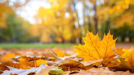 Crunchy leaves in a park symbolizing seasonal bounty, Crunchy, Park, Bounty