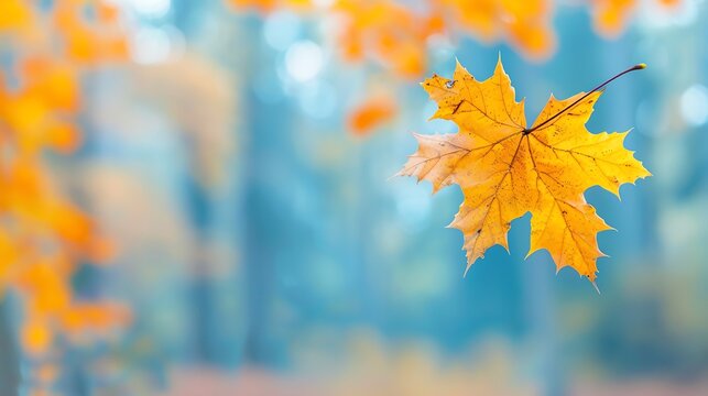 Equinox transition marking the commencement of fall, Transition, Equinox, Commencement