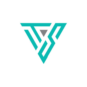 letter ts logo design