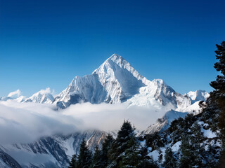 Fototapeta premium snow capped mountains