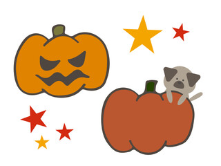 かぼちゃと犬
