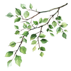 A digital illustration of a branch with green leaves, showcasing a natural, hand-drawn style