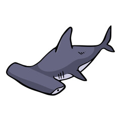 hammer head shark icon hand drawn color vector illustration