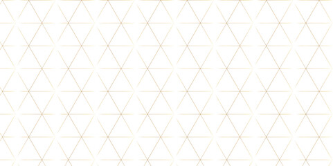 Abstract white background with hexagons. Abstract hexagon polygonal pattern background vector. seamless bright white Pattern with hexagons illustration of a honeycomb. Futuristic surface .