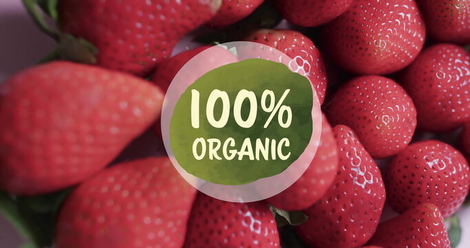 Image of 100 percent organic text on circle over strawberries background