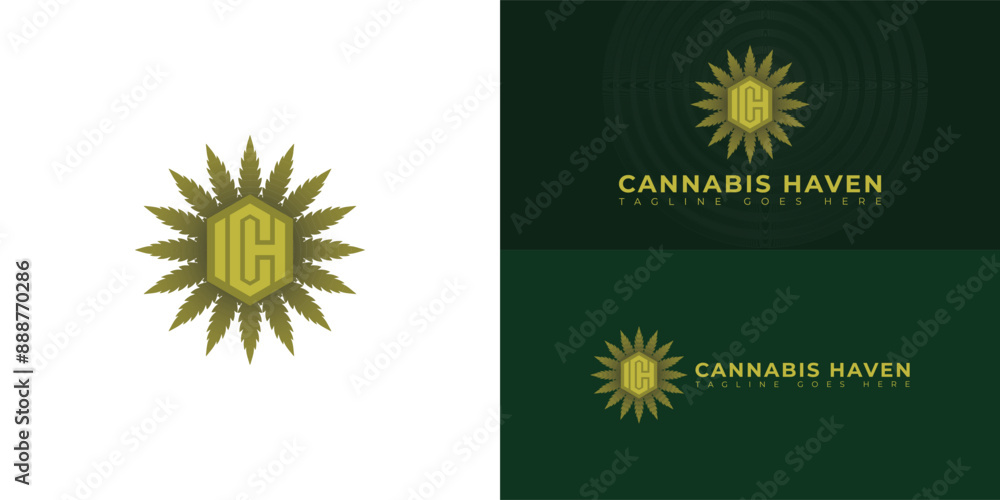 Poster abstract initial hexagon letter ch or hc logo in green color isolated on multiple background colors.