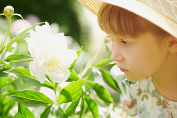 scent of peonies