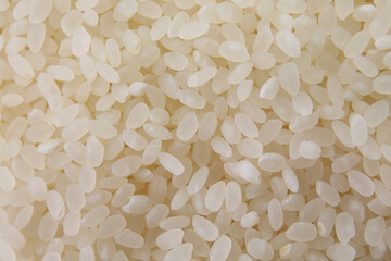 uncooked japanese rice, food background