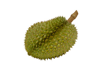  Raw of Thai durian fruit with isolated on transparent background. PNG