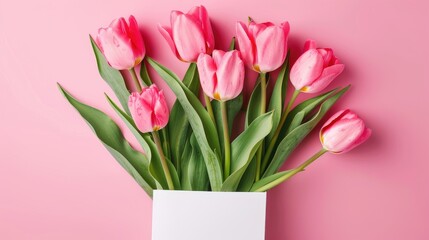 Obraz premium Pink tulip flowers in white packaging on pink backdrop Top view with space for text Floral card invite vertical banner Card mockup