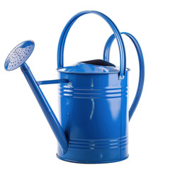 Blue Watering Can