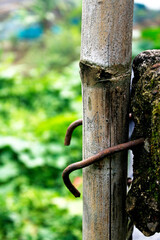 The building's iron frame is used to attach bamboo poles.