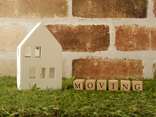 Moving image (white house and moving)  