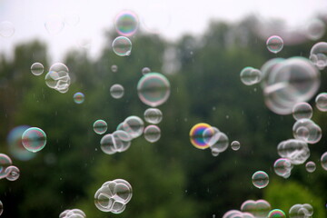 colorful soap bubble background. colorful bubbles in a nature