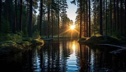 Obraz premium Midnight sun in Swedish forest with lake, blue light. Forest and river on my journey