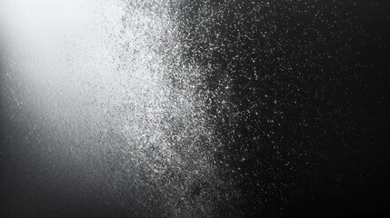 Obraz premium Abstract Black and White Background with a Grainy Texture