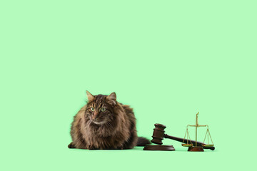 Cute cat with justice scales and judge's gavel on green background