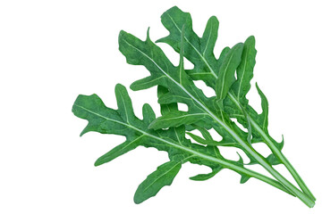 Fresh arugula leaves isolated on transparent background.