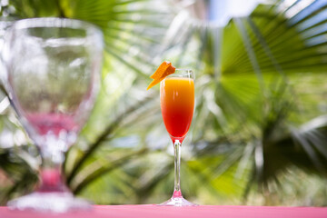 Non-alcoholic cocktail on the background of palm trees. A refreshing drink of red and yellow color. Tropical background. The concept of summer holidays.